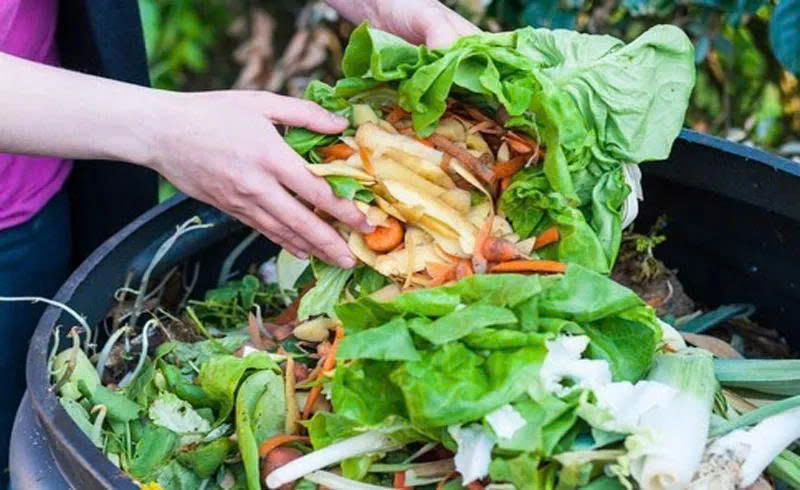 thu gom rác thải sinh hoạt