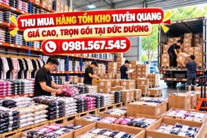 thu mua hàng tồn kho Tuyên Quang